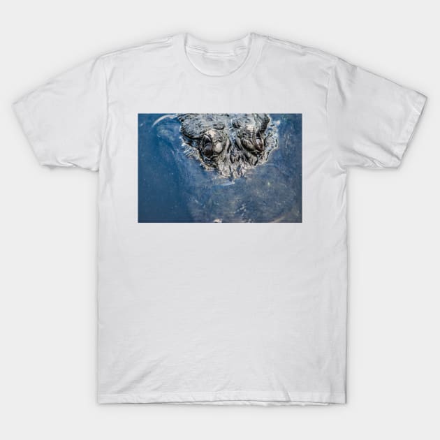 alligator eyes T-Shirt by KensLensDesigns